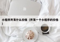 小程序開發(fā)什么價格（開發(fā)一個小程序的價格）