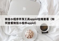 微信小程序開(kāi)發(fā)工具appid在哪里看（如何查看微信小程序appid）