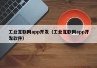 工業(yè)互聯(lián)網(wǎng)app開發(fā)（工業(yè)互聯(lián)網(wǎng)app開發(fā)軟件）