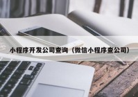 小程序開發(fā)公司查詢（微信小程序查公司）