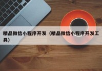 精品微信小程序開發(fā)（精品微信小程序開發(fā)工具）