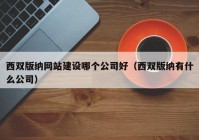 西雙版納網(wǎng)站建設(shè)哪個(gè)公司好（西雙版納有什么公司）