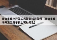 微信小程序開發(fā)工具能離線開發(fā)嗎（微信小程序開發(fā)工具手機(jī)上可以用么）