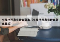 小程序開發(fā)有什么版本（小程序開發(fā)有什么版本要求）