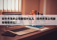 軟件開發(fā)的公司都招什么人（軟件開發(fā)公司都有哪些崗位）