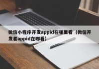 微信小程序開發(fā)appid在哪里看（微信開發(fā)者appid在哪看）