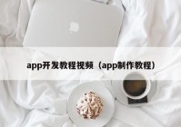 app開發(fā)教程視頻（app制作教程）