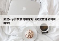 武漢app開(kāi)發(fā)公司哪家好（武漢軟件公司有哪些）