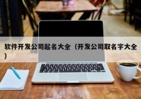 軟件開發(fā)公司起名大全（開發(fā)公司取名字大全）