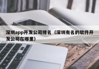 深圳app開發(fā)公司排名（深圳有名的軟件開發(fā)公司在哪里）