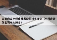 三足鼎立小程序開發(fā)公司排名多少（小程序開發(fā)公司十大排名）