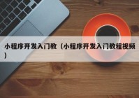 小程序開發(fā)入門教（小程序開發(fā)入門教程視頻）