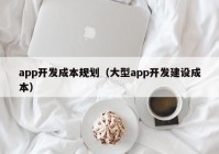 app開發(fā)成本規(guī)劃（大型app開發(fā)建設成本）