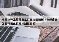 小程序開發(fā)軟件怎么打開控制面板（小程序開發(fā)軟件怎么打開控制面板呢）