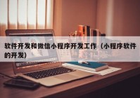 軟件開發(fā)和微信小程序開發(fā)工作（小程序軟件的開發(fā)）