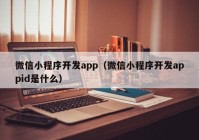 微信小程序開發(fā)app（微信小程序開發(fā)appid是什么）