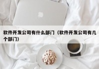 軟件開發(fā)公司有什么部門（軟件開發(fā)公司有幾個部門）