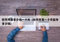 軟件開發(fā)多少錢一個月（軟件開發(fā)一個月能掙多少錢）