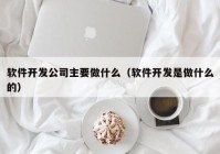 軟件開發(fā)公司主要做什么（軟件開發(fā)是做什么的）